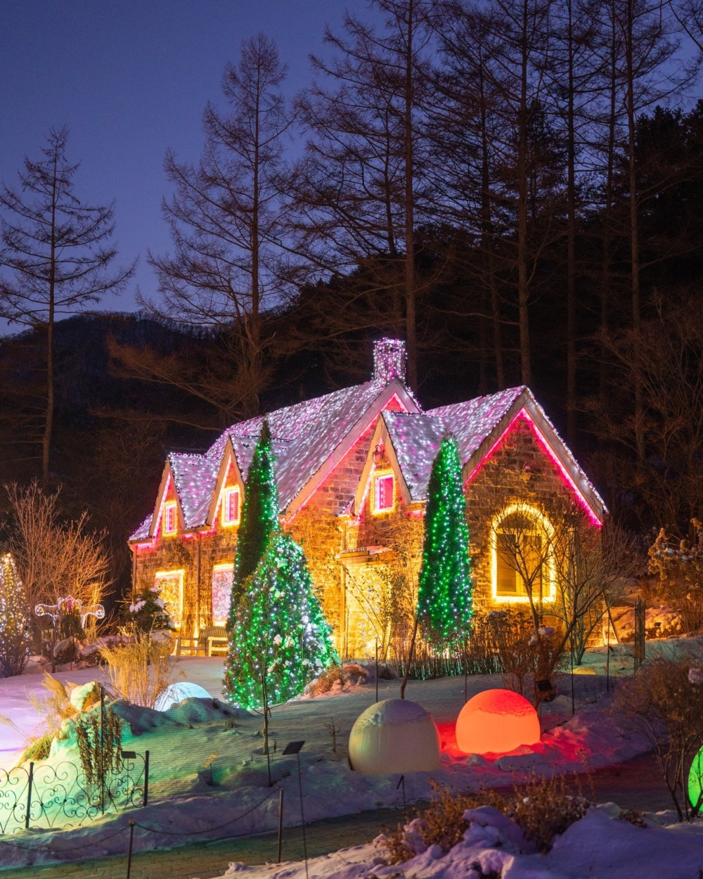 自然庭園加上不同顏色的LED燈飾，猶如闖入童話世界！