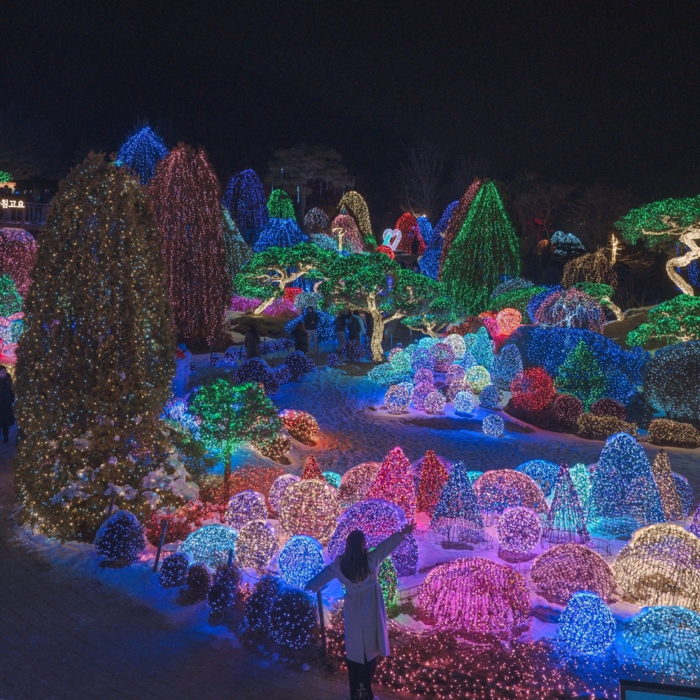 每年冬季舉辦夜間燈光慶典「五色星光庭園」，打卡一流！