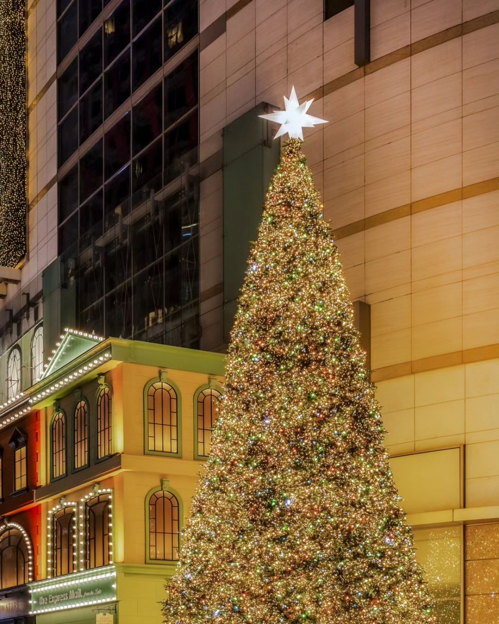 聖誕節絕不能少的聖誕樹！