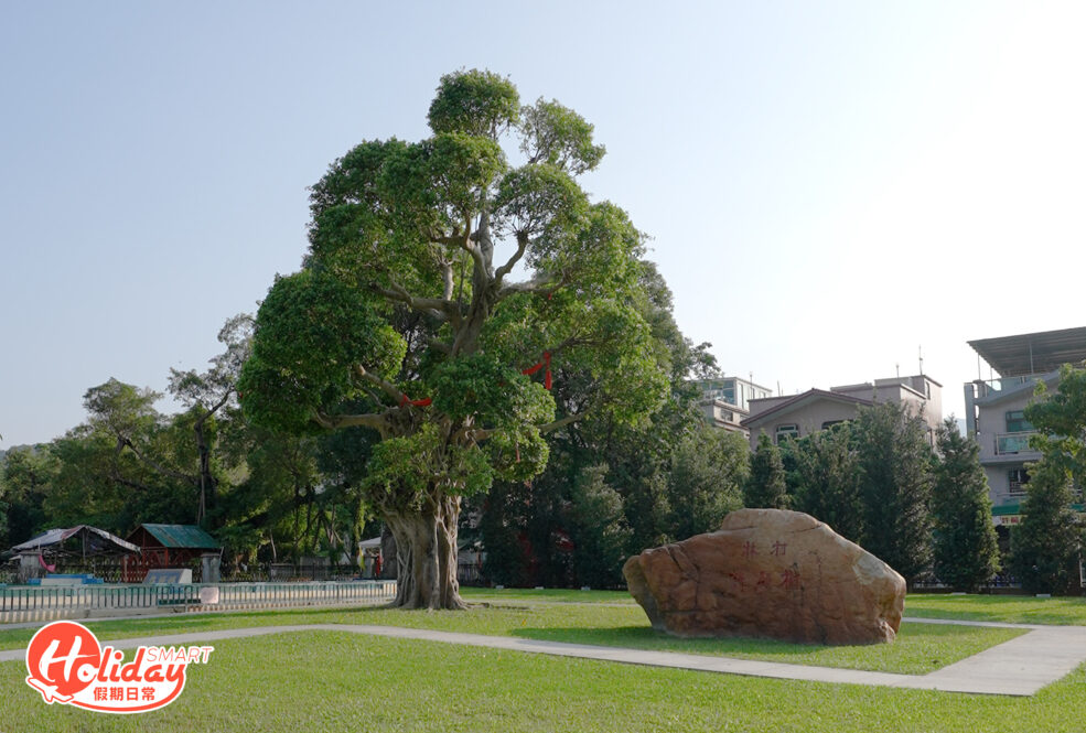 從上水踩大概1小時就到達大埔林村，當中必去最出名的許願樹，經過可祈福許願外，導遊更帶我們去林村隱世的林村河！