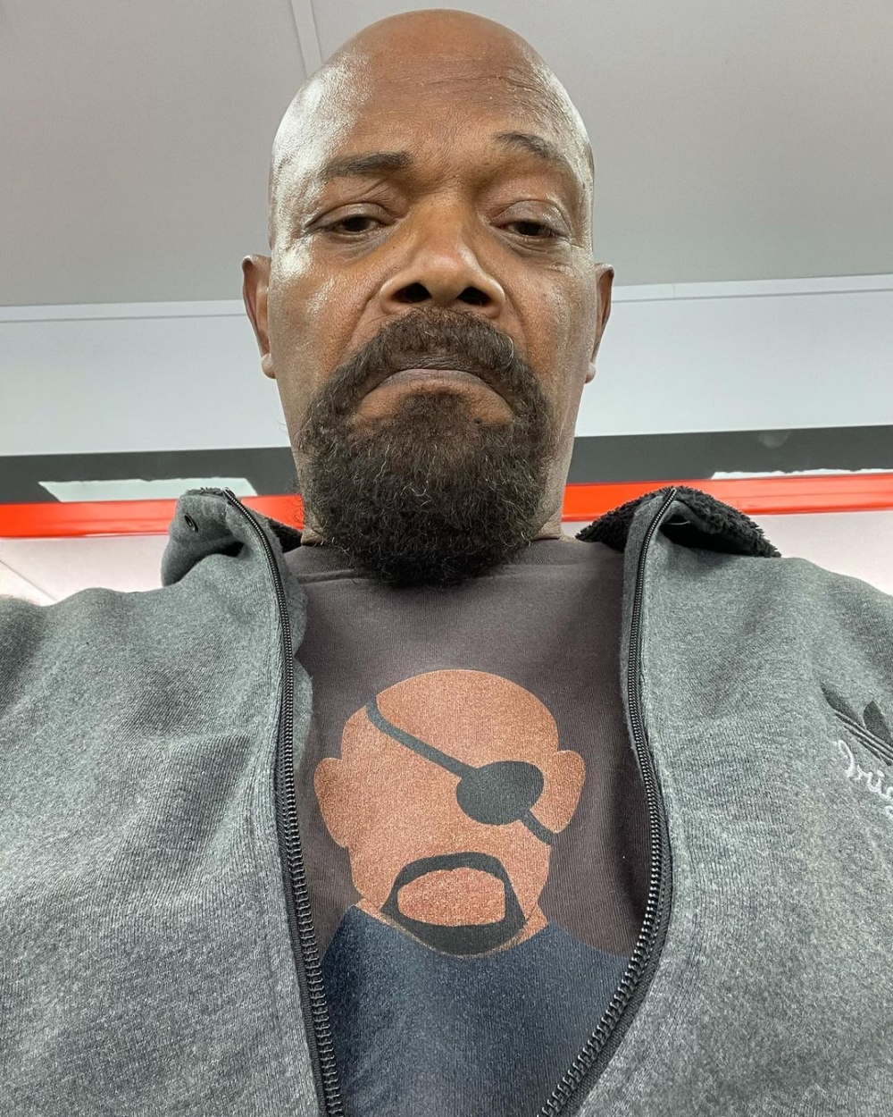 Samuel L. Jackson為加菲貓爸爸配音,嘴炮組合讓人期待!