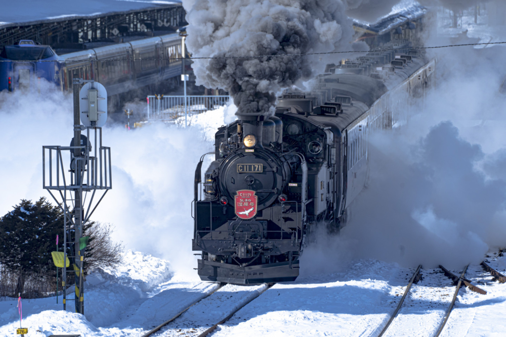 北海道冬季限定登場的「SL冬季濕原號」列車，人氣超高！