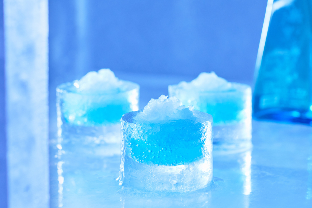 盛裝的杯具是以冰塊製作～