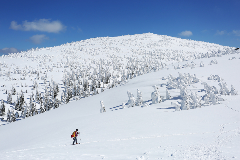 高達10米的樹冰遍佈整個森吉山，除了睇樹冰外，也有不少滑雪好手會來森吉山阿仁滑雪場來滑雪。