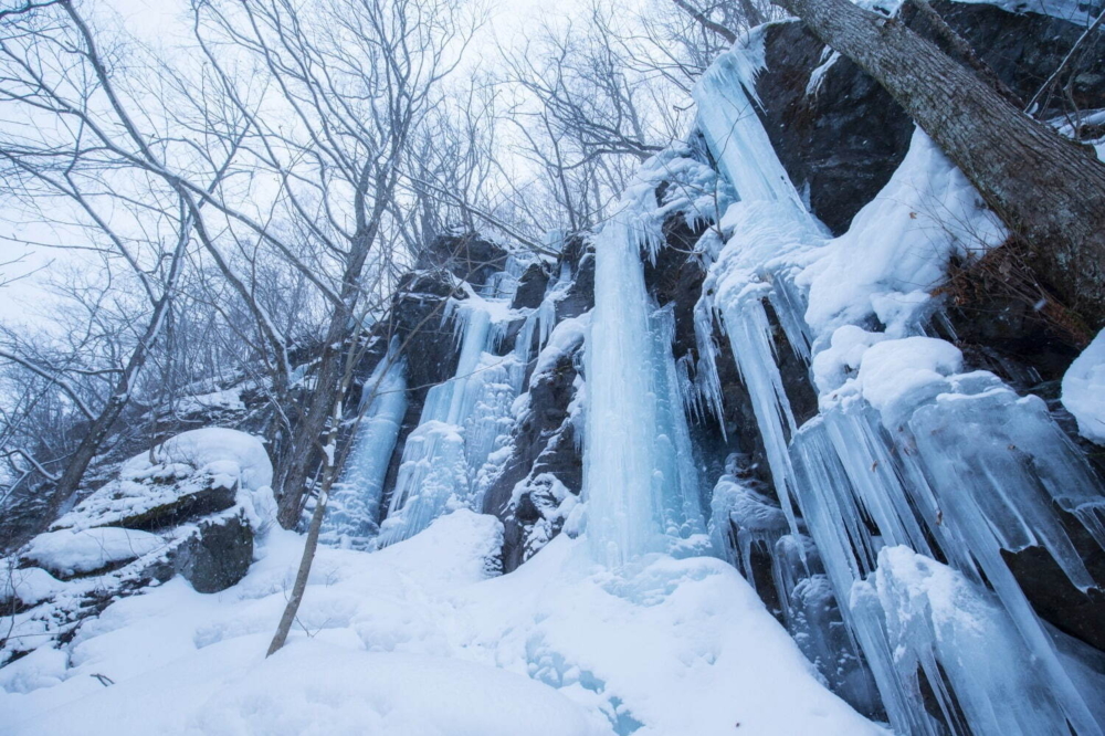 如果乘搭公共交通前往奧入瀨溪流，建議購買交通票券「JR東日本路周遊券（東北地區）」，更划算實惠！