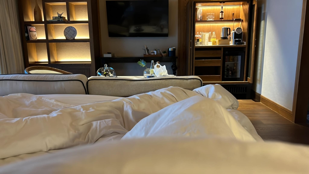 有些人認為胡慧冲的經歷可能只是一種心理暗示或夢境的表現