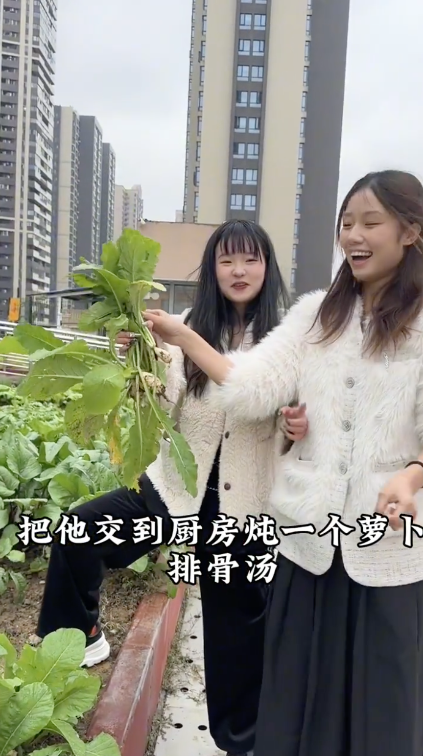 屋頂仲有種植蔬菜,瑤妹體驗做農夫摘菜非常興奮。
