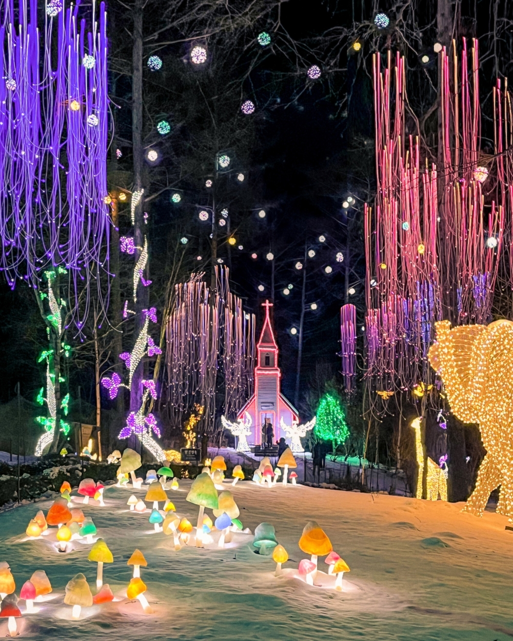 打造不同主題的燈飾展覽！