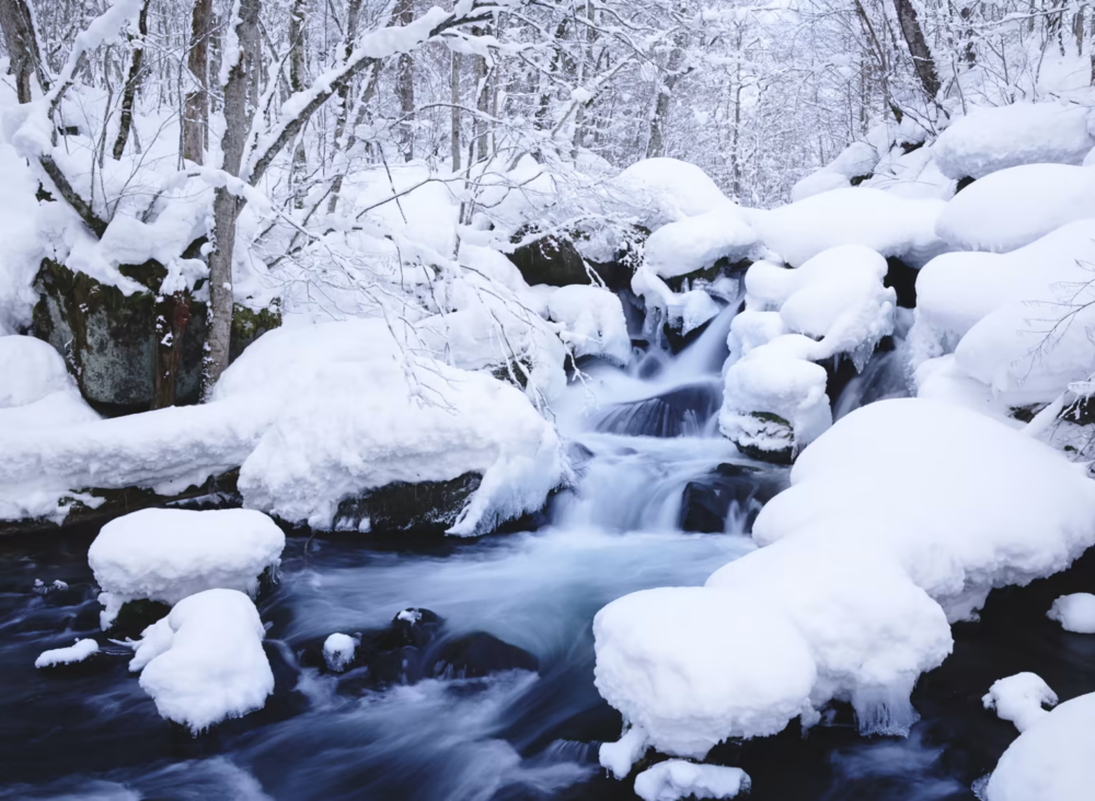 冬季限定「奧入瀨溪流冰瀑遊」再度回歸！