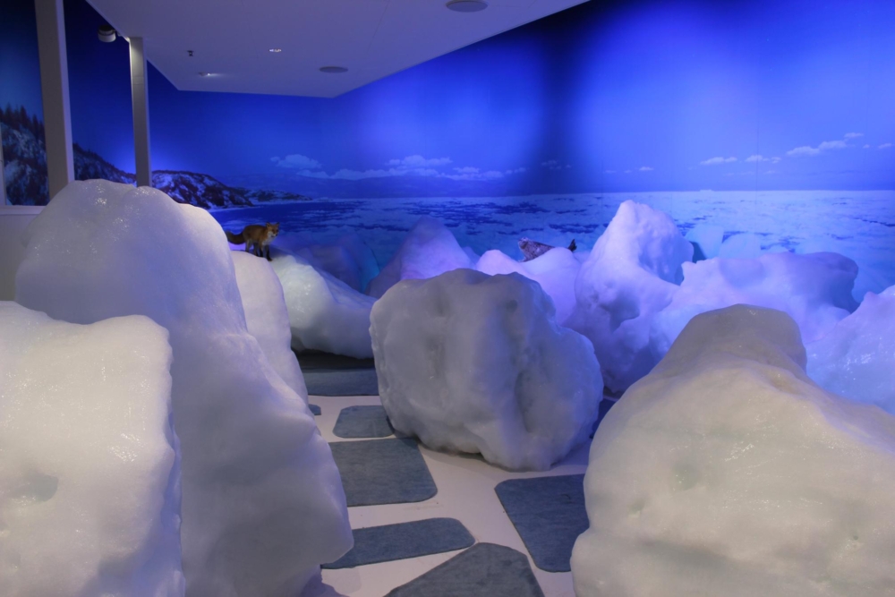 觸摸真正的天然流冰！