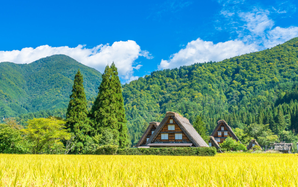 白川鄉合掌村。