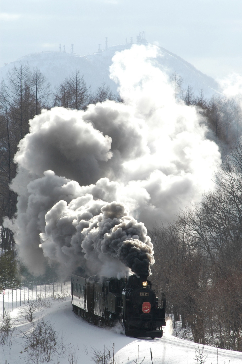 SL冬季濕原號所有座位屬於全車指定席，需要預先購買車票才能乘搭～