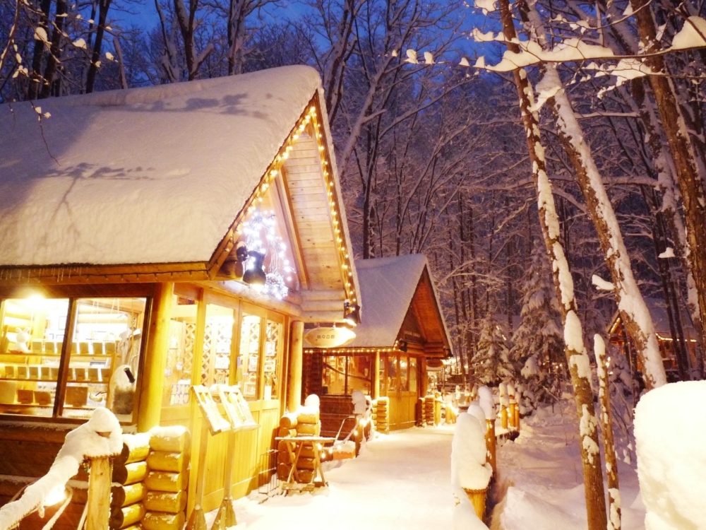 冬天落雪的季節景色最夢幻!
