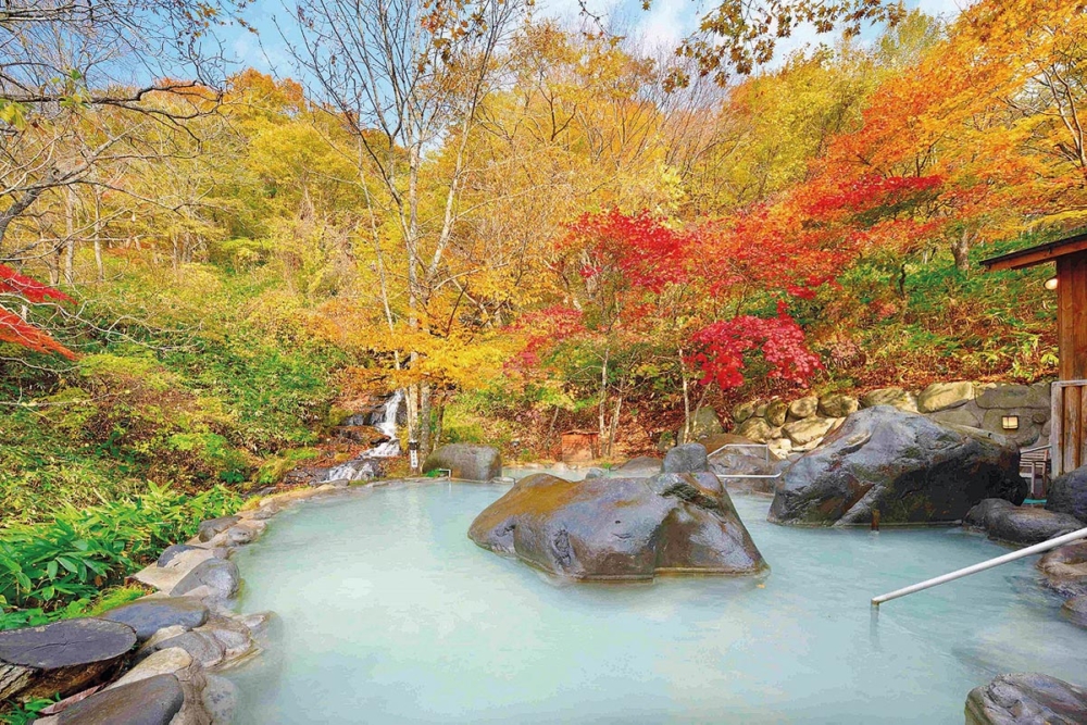 秋季可見漸層楓紅，吸引超多觀光客～