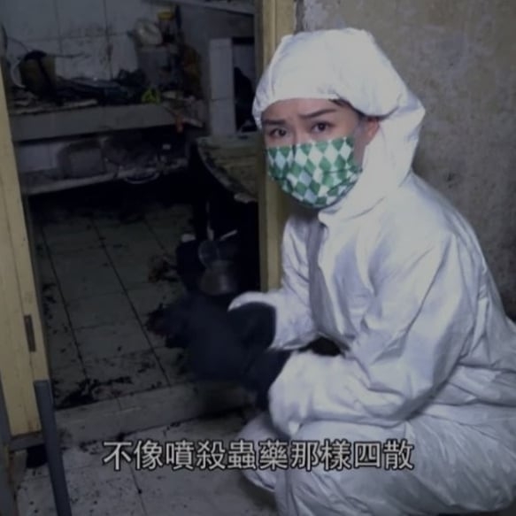 黃穎君加入《東張西望》擔任外景主持，喺大埔富亨邨「曱甴屋」嘅採訪中表現出色