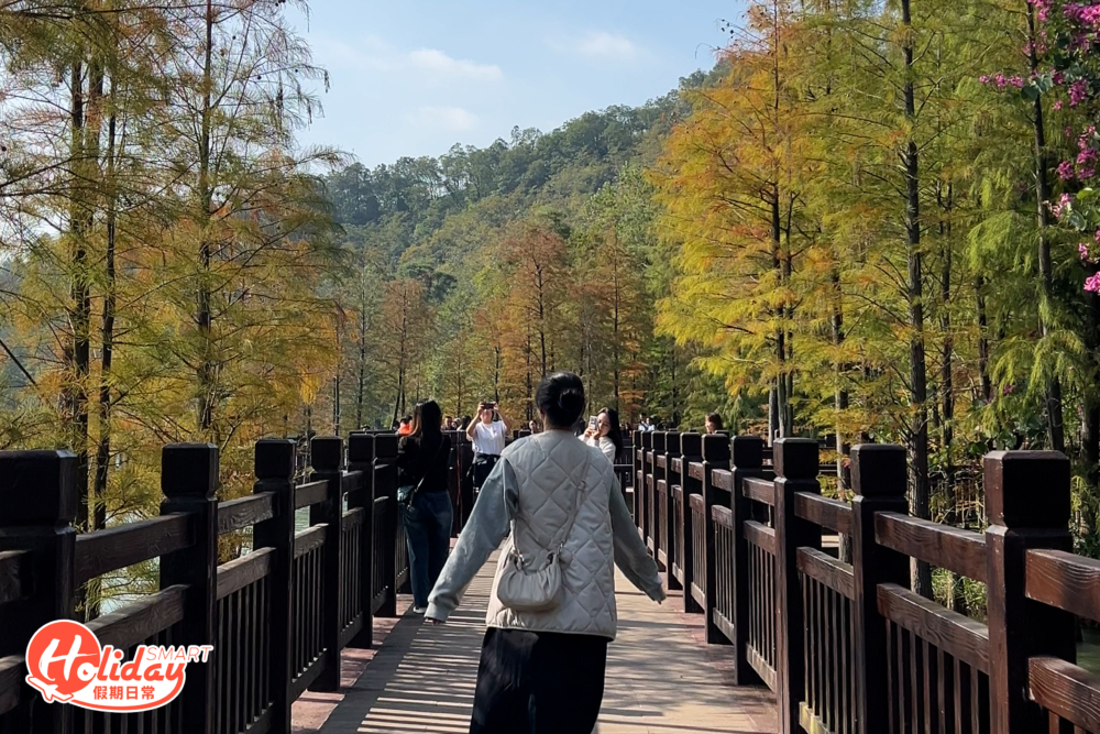 每當天氣漸冷的時候,公園就會出現大量紅葉,景觀令人嘆為觀止,可惜記者到訪當天天氣未夠冷,所以只能看到少量紅葉,但景色依然十分美麗!