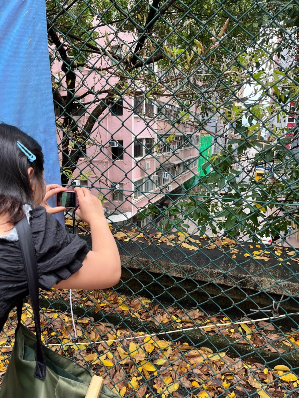 為咗影一張相,籃球場一角往往都有一大班內地網民