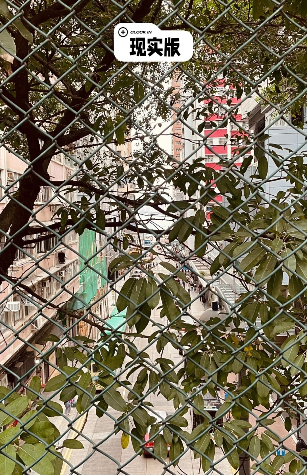 亦有網友表示籃球場有圍牆圍住,圍欄外仲有樹木遮擋,而且同海旁距離一啲都唔近