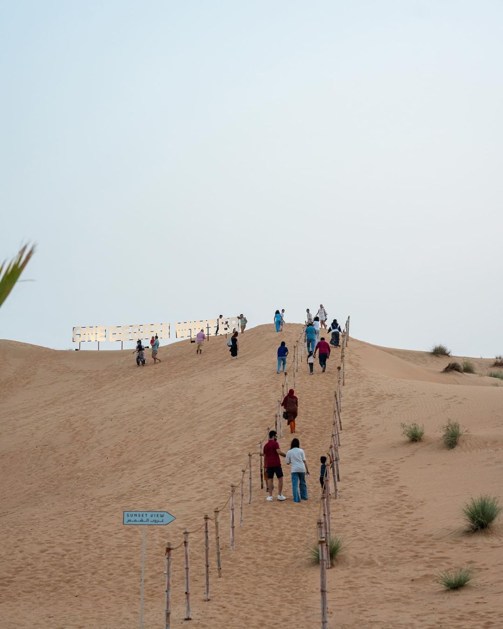 Cafe從各個角度都能看到壯闊的沙丘，絕對能讓你過一把沙漠癮