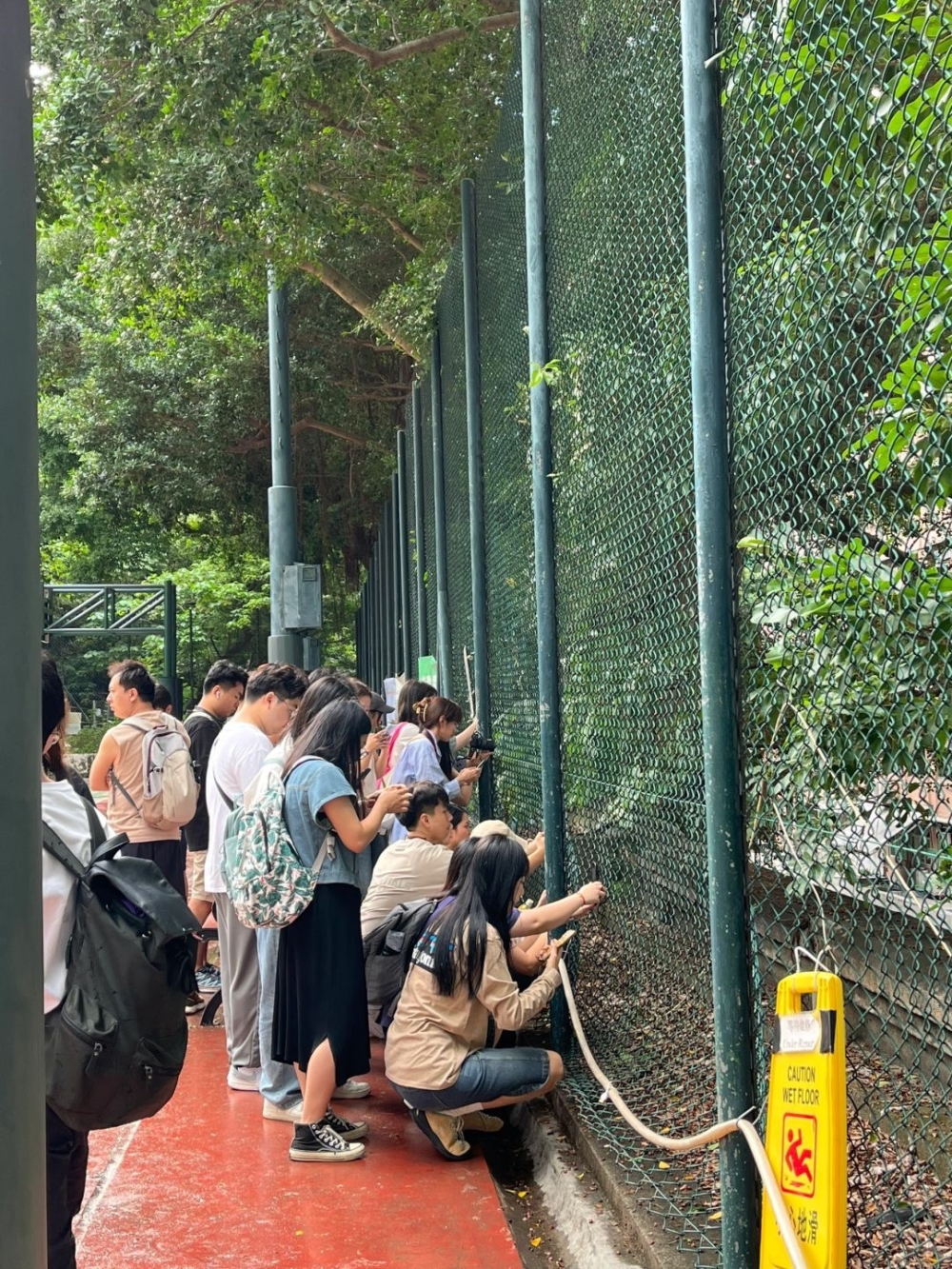 原來內地遊客嚟堅尼地城籃球場只係為咗影到一個畫面。