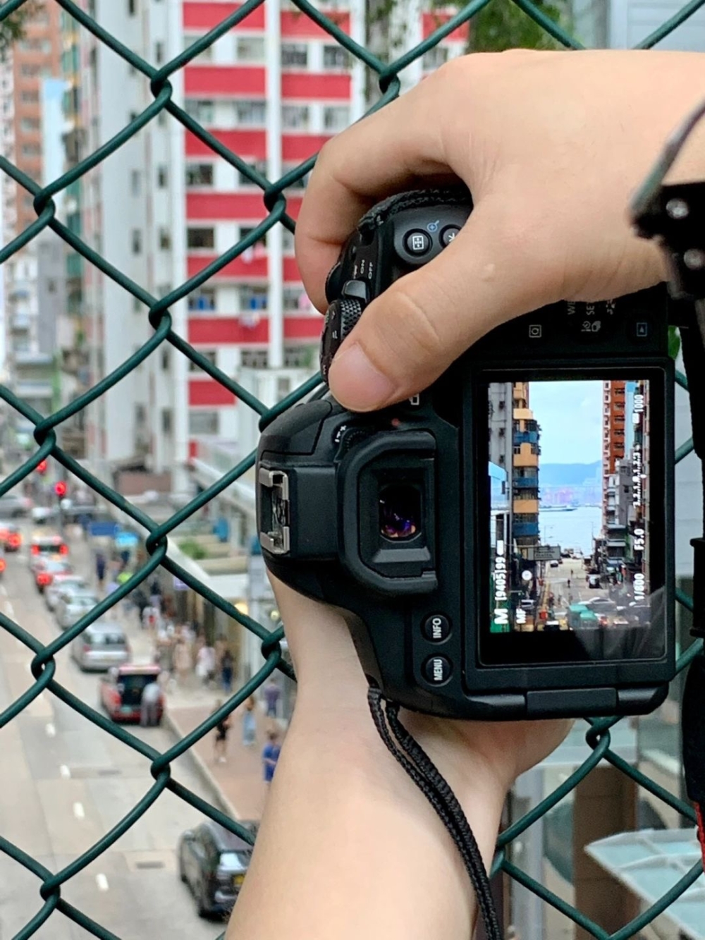 更有人用埋專業相機打卡