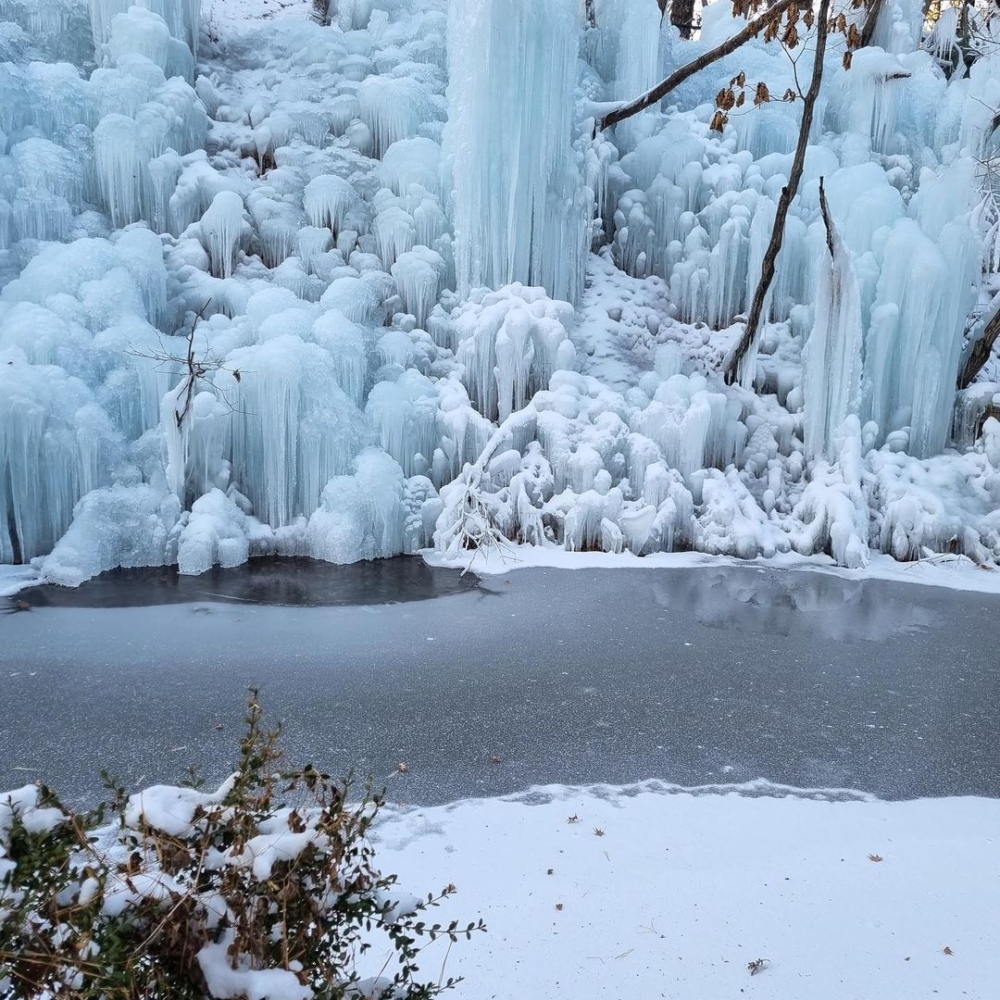 溪水及樹林凍結成冰霜，變成了一片冰雪精靈世界！
