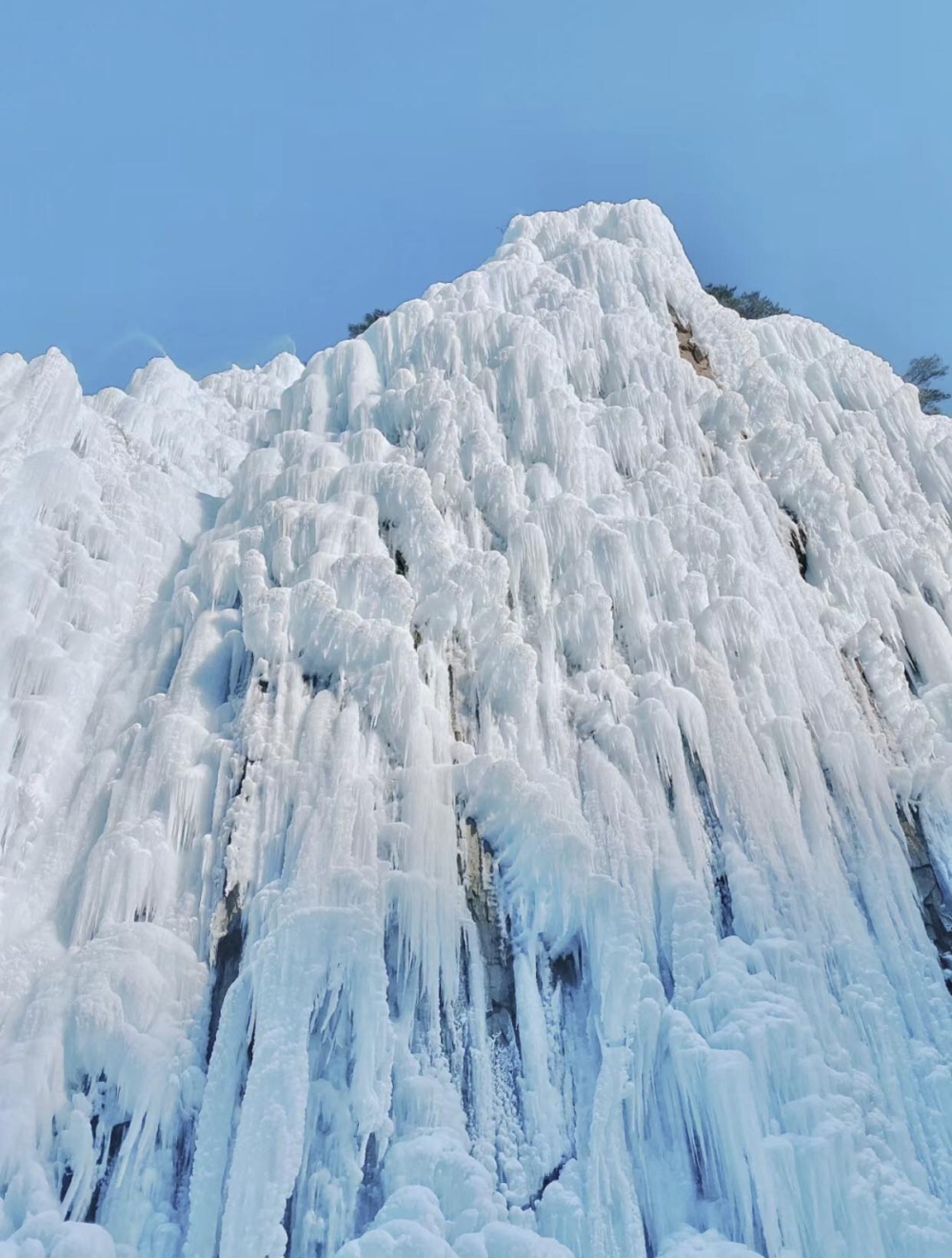 青松冰谷是冬季人氣超高的冰川秘境！