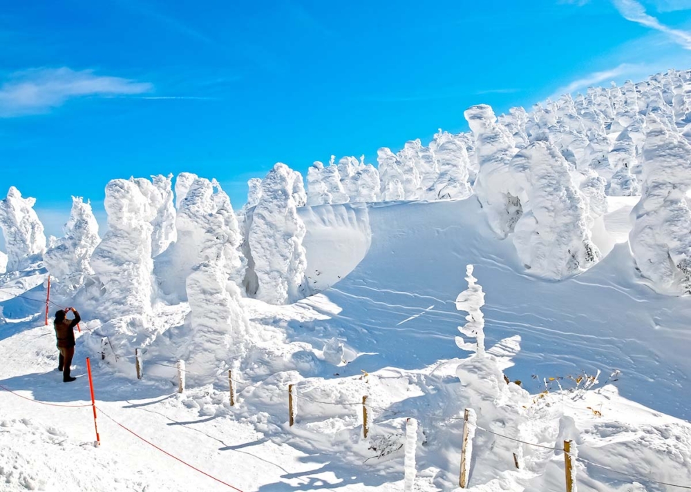 因為獨特的氣象條件而自然形成的樹冰，形狀獨特又巨大，像怪獸一樣，所以又被稱為「雪怪」～