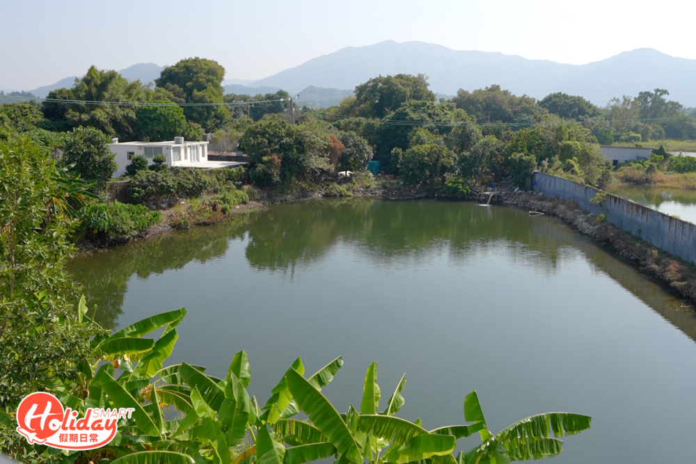 在房間露台就可以觀望到整個濕地。