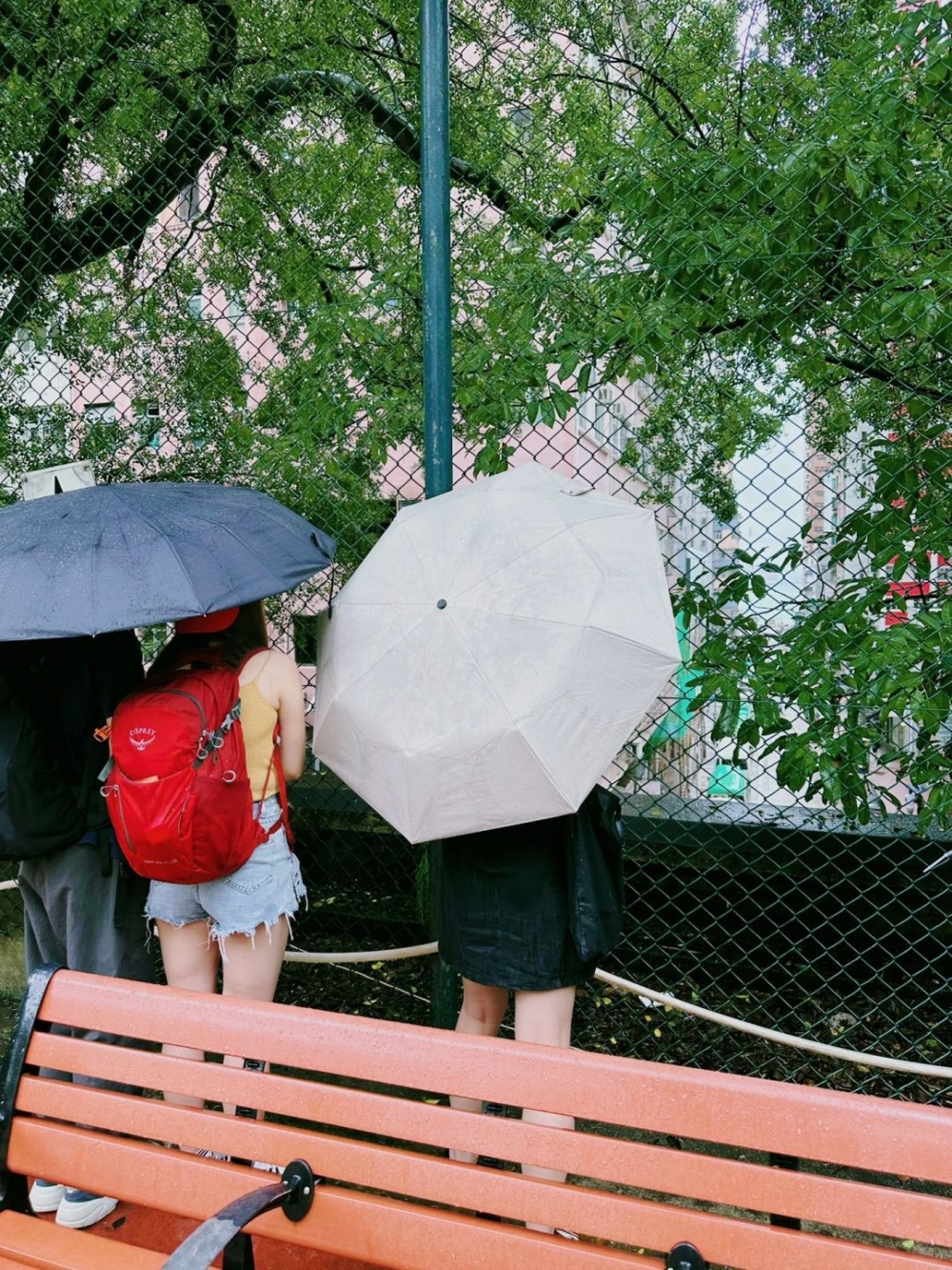 落雨都無阻大家打卡熱情!