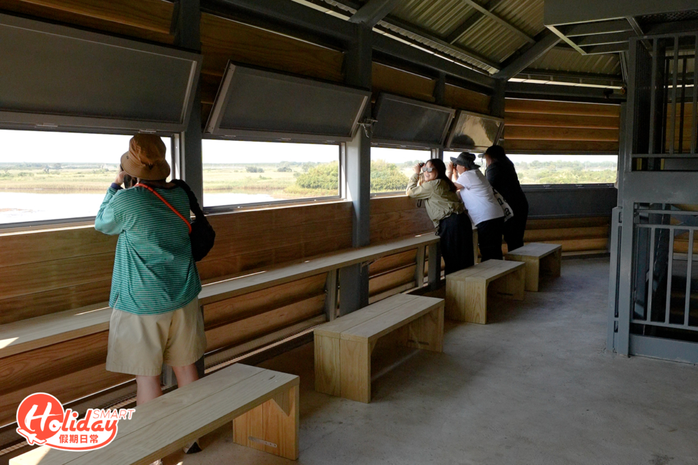 全新三層觀鳥屋非常寬敞，可以舒適地觀望雀鳥生態。