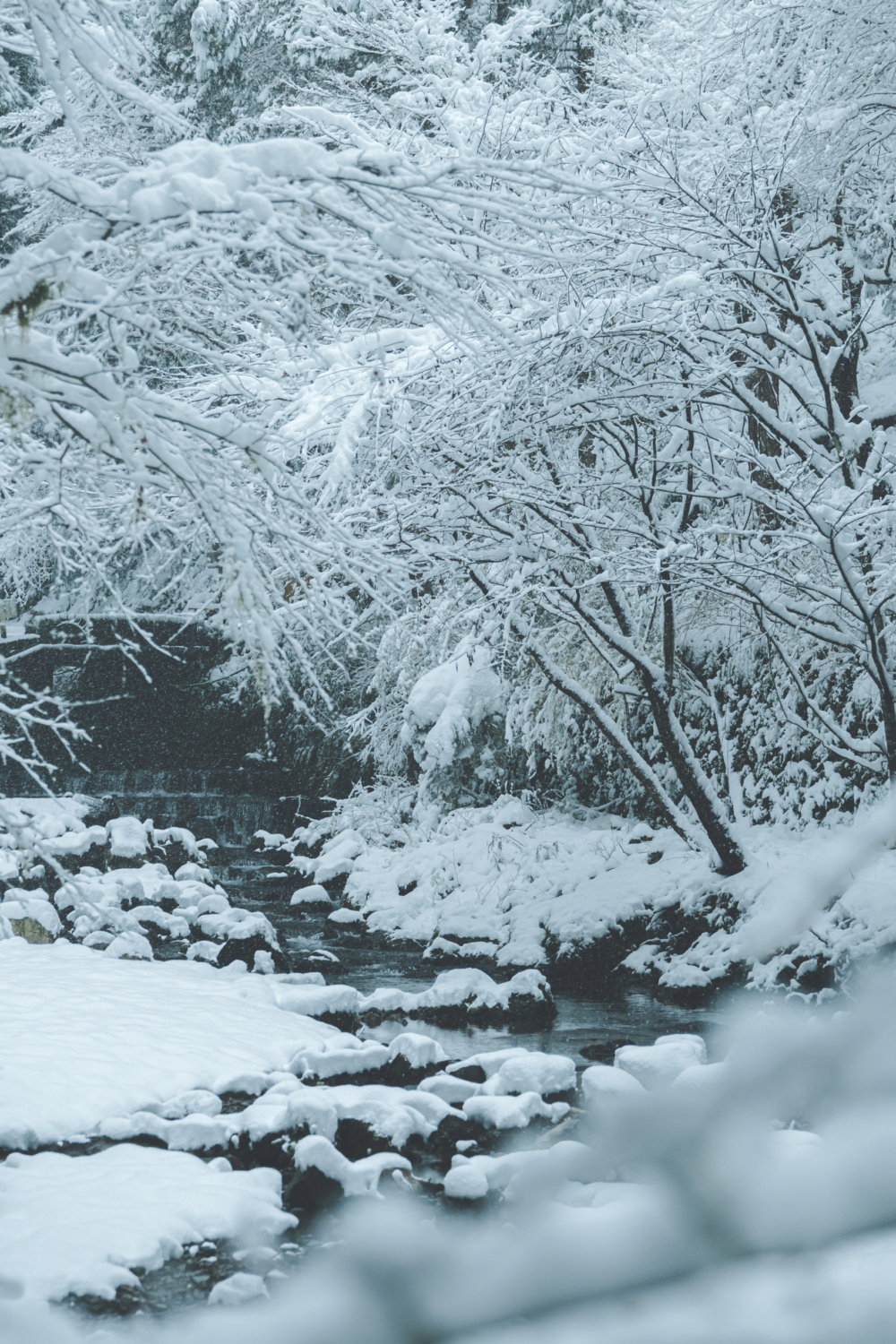 日本關西擁有超夢幻的冬季限定絕景!