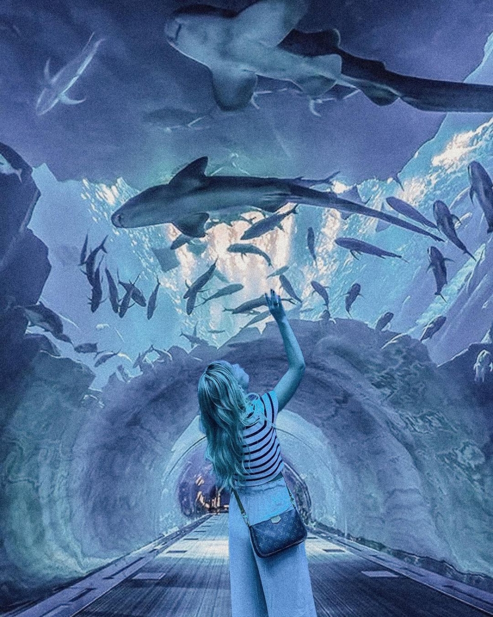 杜拜水族館位於迪拜購物中心內,係全球最大嘅室內水族館,橫跨購物中心三層