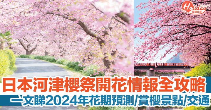 日本河津櫻2024｜櫻花祭開花情報全攻略！花期預測、賞櫻景點、交通