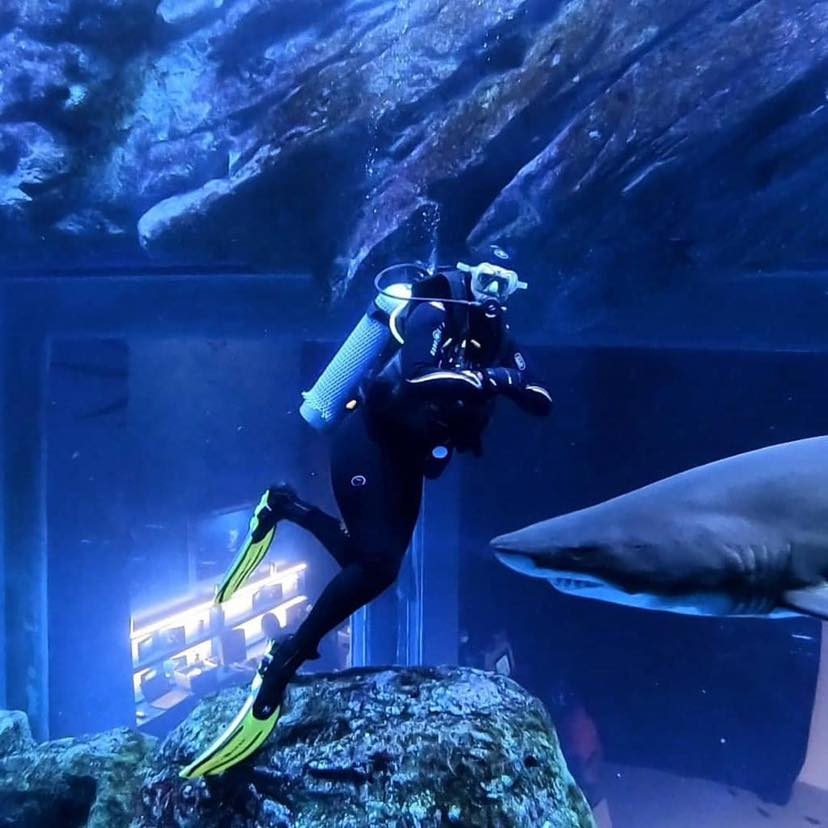 水族館內更有玻璃底船及浮潛等各種活動。