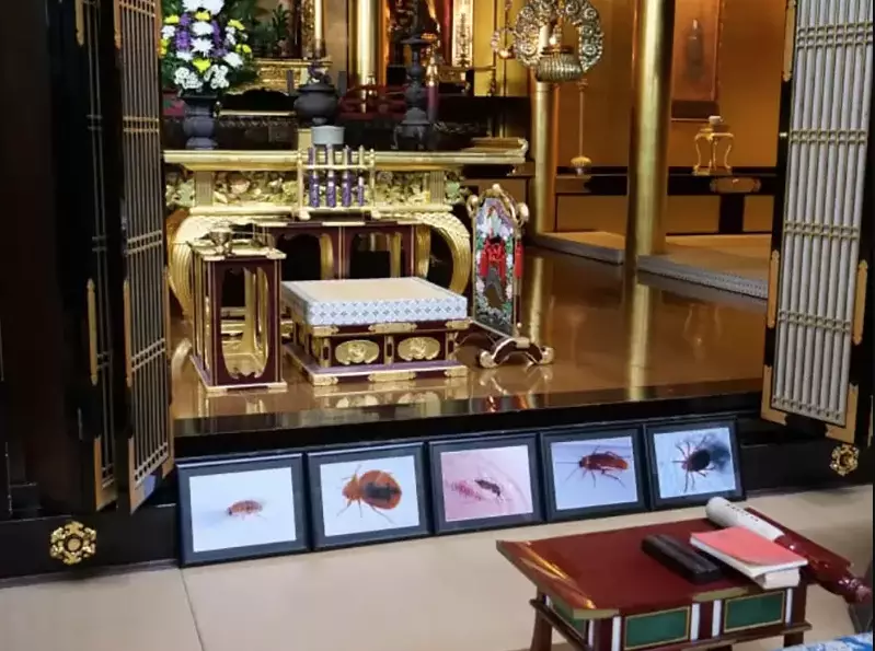 佛堂前面會擺放蟲蟲的遺照