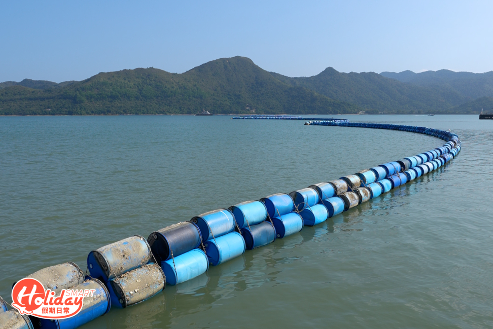 由於沙頭角海濱一帶水淺，船隻難以停泊，碼頭須延伸至深水位置，所以乘船處其實已是海中心。