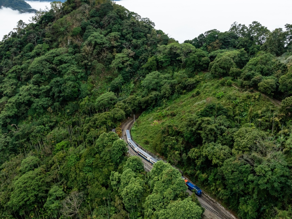 「栩悅號」是林鐵百年來首輛以生態為主題設計的改裝列車！