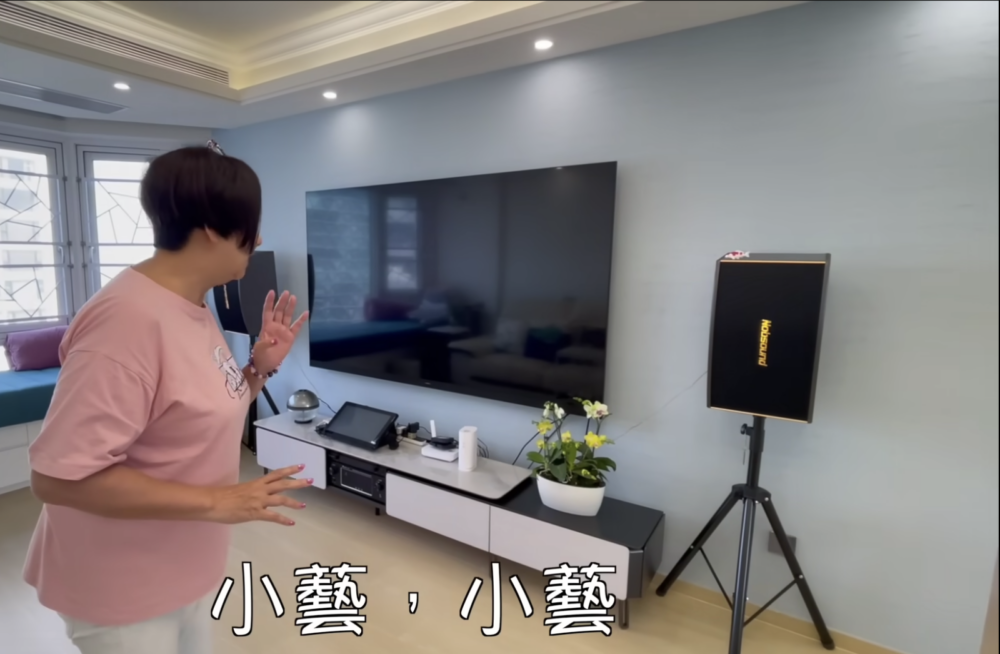 這個多功能智能電視機會執行由語音發出的簡單指示