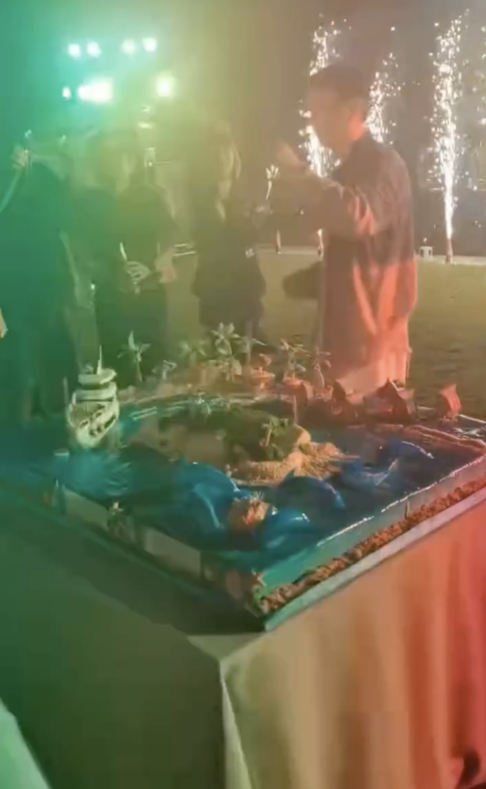 王思聰的生日蛋糕是一個以海島和遊艇造型的巨大蛋糕，網民估計要價應該過萬。