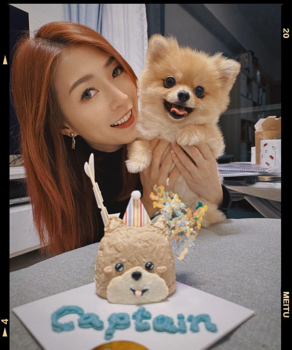 屬龍藝人代表:連詩雅。