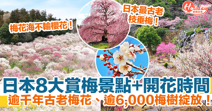 【日本梅花2024】8大賞梅景點+開花時間！逾千年古老梅花、逾6,000梅樹綻放！附交通攻略
