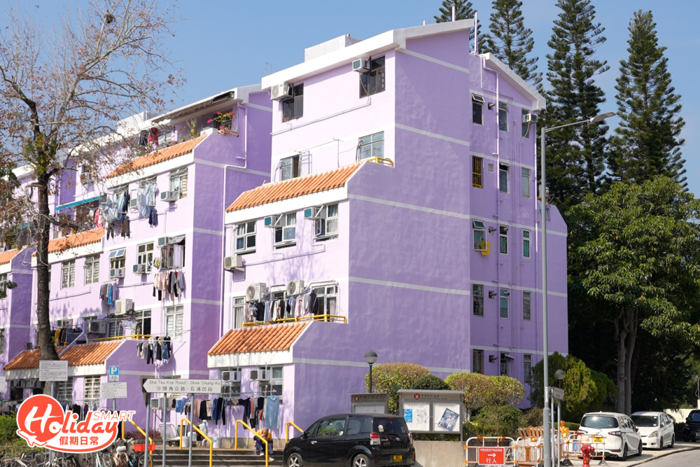 最早期的沙頭角邨於1988年落成，目的是為了安置受鹽寮下村及菜園角村寮屋清拆影響的原居民。