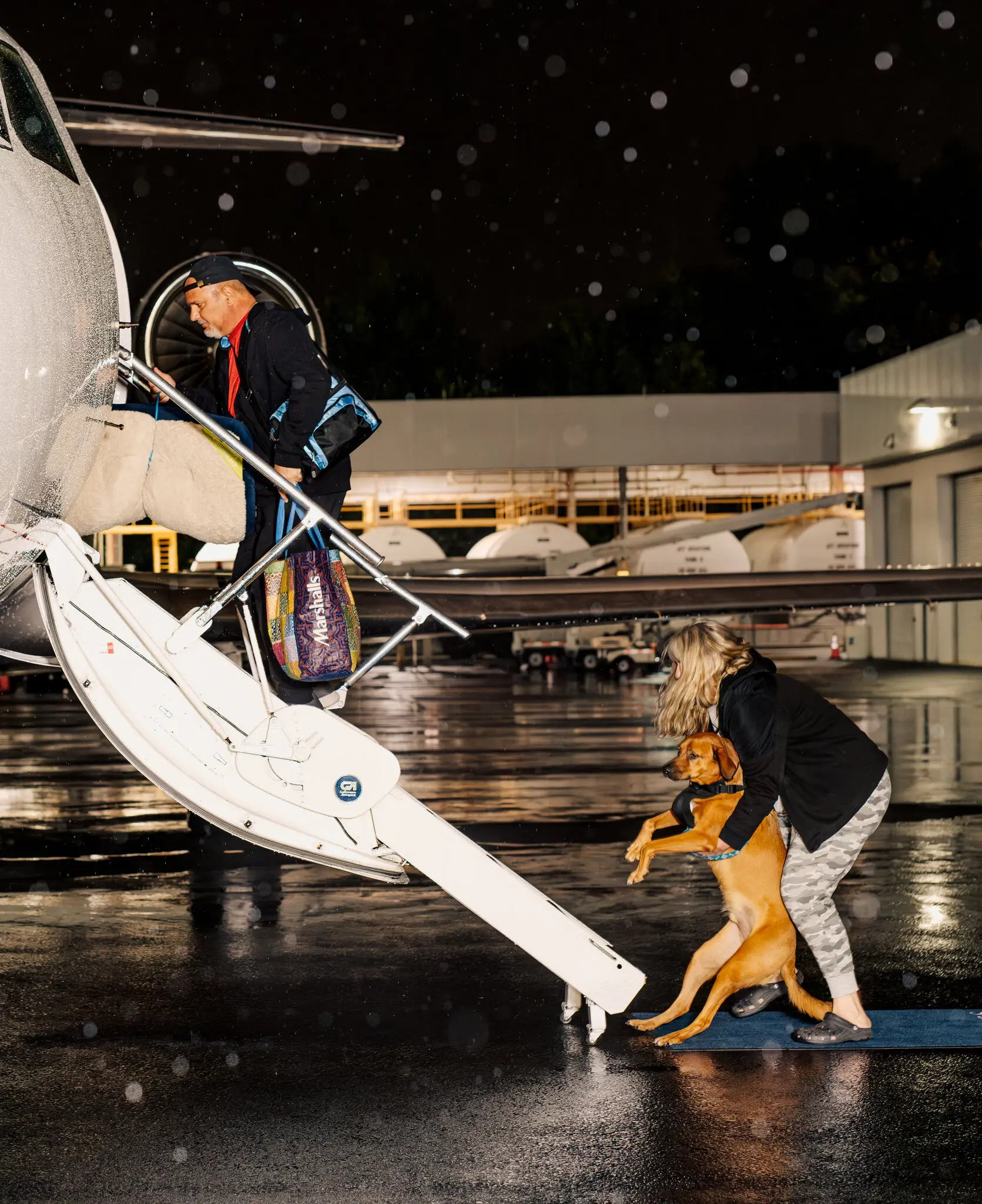 也有網友提出寵物航班可能會遇上不少問題,例如航班上或有對動物毛敏感的乘客