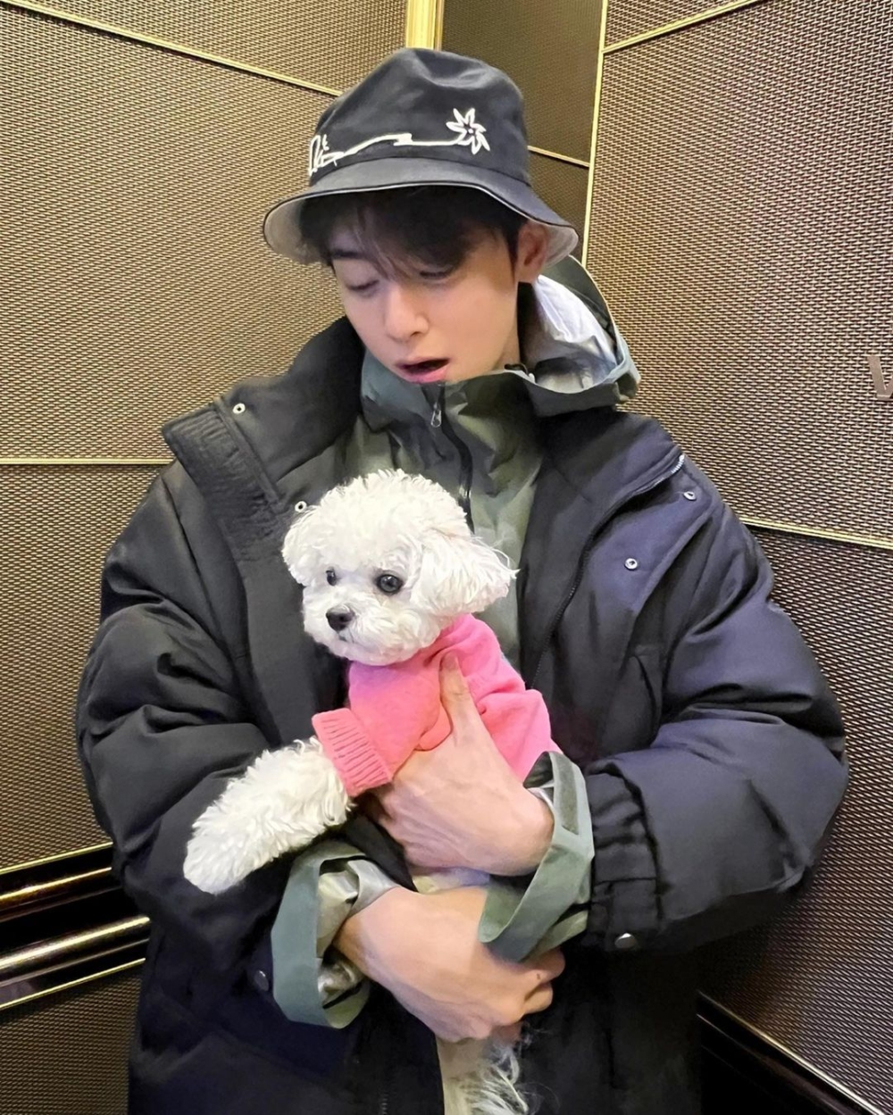 車銀優弟弟和他一樣是學霸