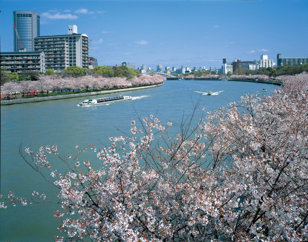 大川河。