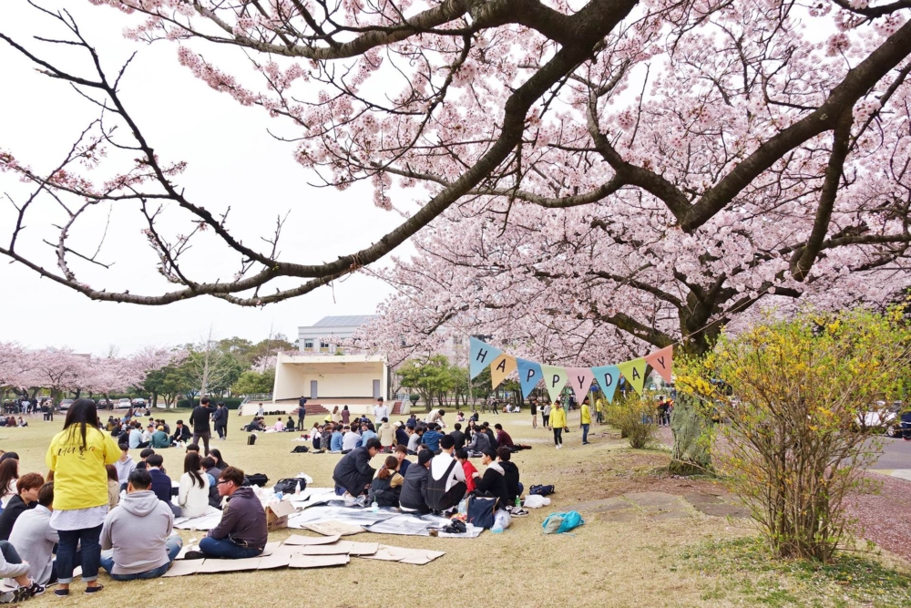 濟州大學係濟州島唯一的大學～