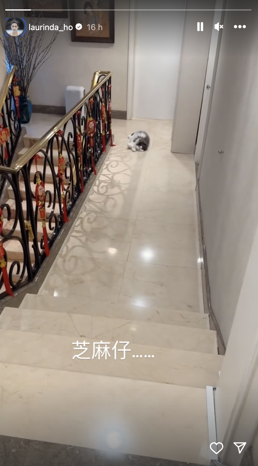 何超蓮又分享了豪宅的樓梯間，她的愛貓躺在走廊休息
