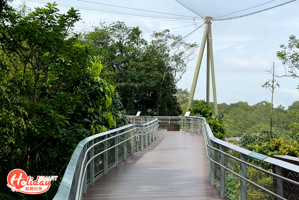要近距離觀賞雀鳥就必去8大鳥舍，包括「亞馬遜之寶」、「澳大利亞內陸」、「紐格威森林非洲翼境」、「緋紅濕地」、「亞洲珍禽」、「彩鸚谷」、「神秘巴布亞」及「企鵝灣」，大家也可以靠園內導覽車遊走到8個園區。