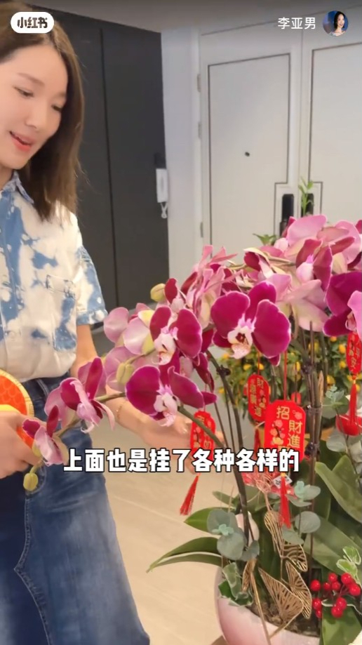 玄關位置則有一盆大吉及蘭花